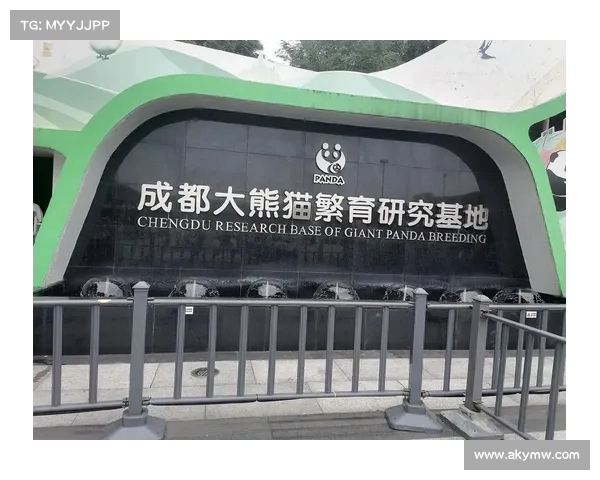 成都熊猫基地晨间瑜伽全新上线 熊猫主题呼吸练习助力身心平衡 成都熊猫基地晨间瑜伽全新上线 熊猫主题呼吸练习助力身心平衡